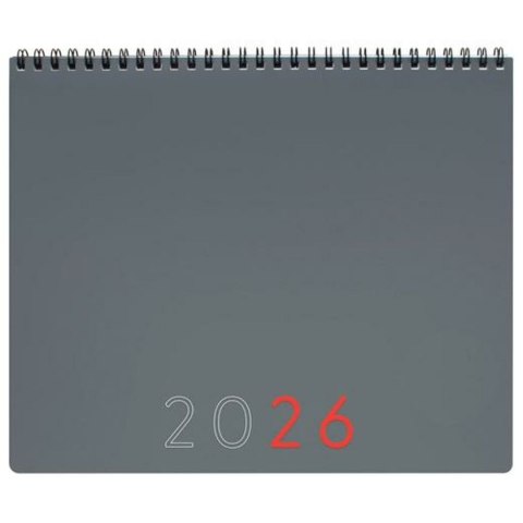 Organizer Finocam Szary Papier 25 x 20 cm