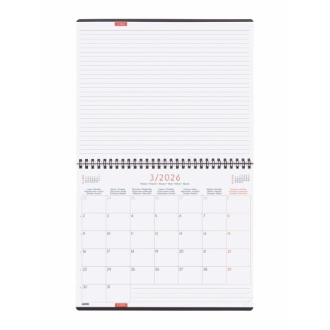 Organizer Finocam Szary Papier 25 x 20 cm