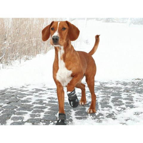 Buty Trixie 19463 Czarny M