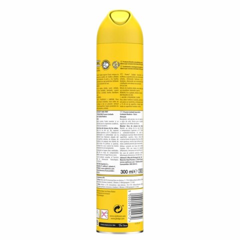 Środek Czyszczący Pronto PRONTO MUEBLES