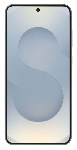 Samsung Galaxy S25 (S931) 5G DS 12/512GB Silver Shadow