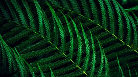 Monitor Philips 27B2G5601/00 27" IPS 16:9 60Hz 4ms 2560x1440 300cd/m2 HDMI:1 Srebro