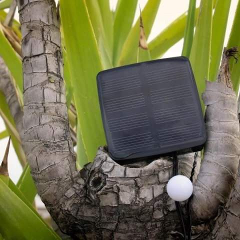 Girlanda z Lampkami LED Lumi Garden BILLY SPHERICAL 60 LEDS Czarny noir 1 W