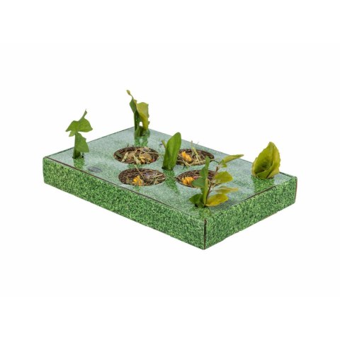 Tacka do przekąsek Trixie Kolor Zielony Karton 28 x 3,8 x 18 cm