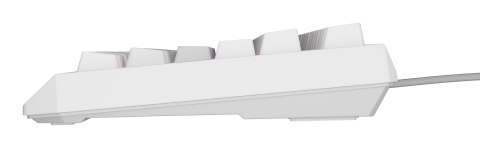 Klawiatura GENESIS Thor 230 TKL Gaming USB QWERTY US English Biały