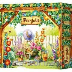 Gra planszowa Rebel Pergola (edycja polska)