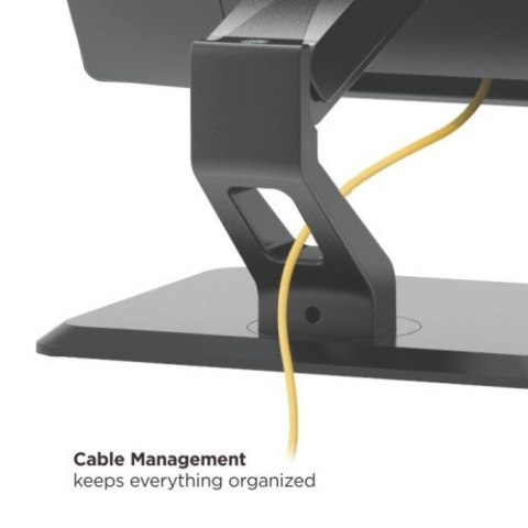 Techly ICA-LCD 35TS uchwyt / stojak do monitorów 81,3 cm (32") Biurko Czarny
