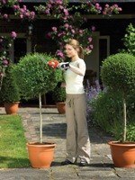 Black & Decker GSL300 urządzenie elektryczne do strzyżenia żywopłotów Podwójne ostrze 600 g