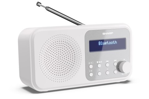 Radio przenośne Sharp DR-P420 DR-P420WHP Białe