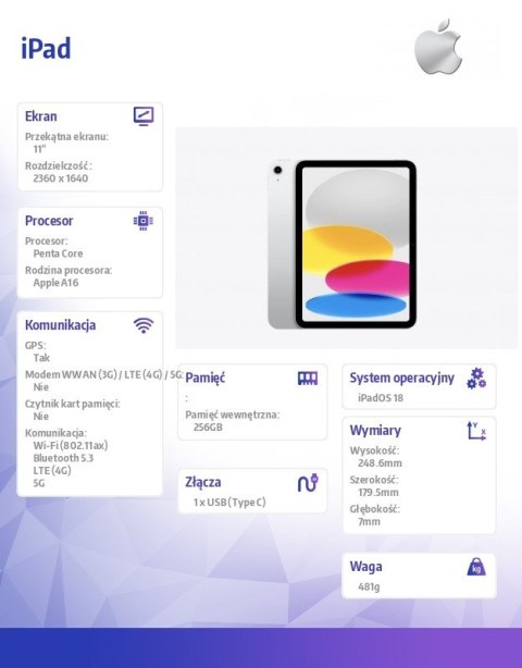 IPad WiFi + Cellular 11 cali 256 GB Srebrny