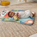 Karimata do zabawy Mattel Fisher Price Wesoła panda 3w1