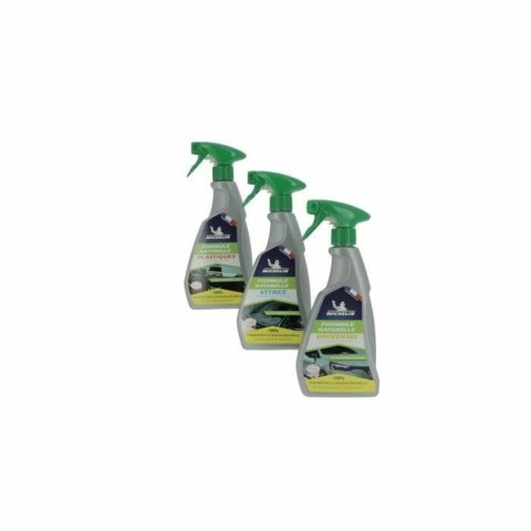 Zestaw czyszczący Michelin