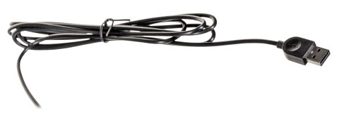 Klawiatura Lenovo Essential Uniwersalna USB QWERTY US English Czarny 4Y41C68681