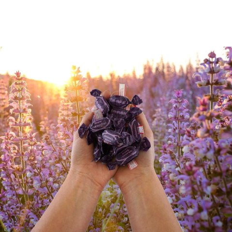 Em-eukal Johannisbeere Cukierki bez Cukru Czarna Porzeczka 75 g