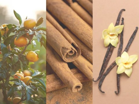 Bettina Barty Vanilla Dezodorant Spray 150 ml