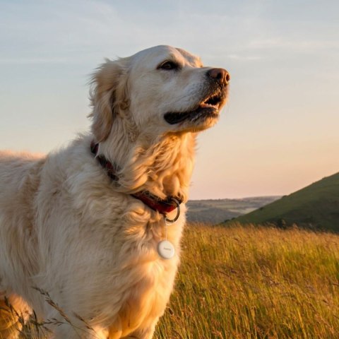 Kabel USB Hama 00185825 Biały