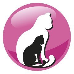 PREVITAL kurczak karma sucha karma kocięta 0,95kg