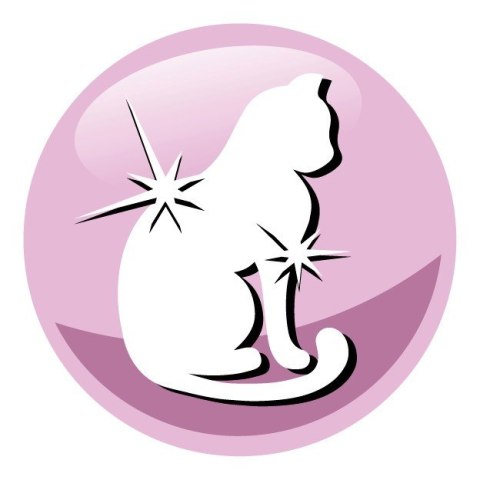 PREVITAL łosoś senior karma sucha dla kotów 1,4kg