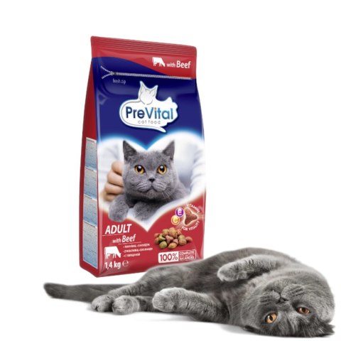 PREVITAL -Z wołowiną karma sucha - Pełnoporcjowa karma dla dorosłych kotów - 1,4kg