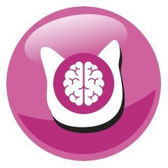 PREVITAL kurczak karma sucha karma kocięta 0,95kg