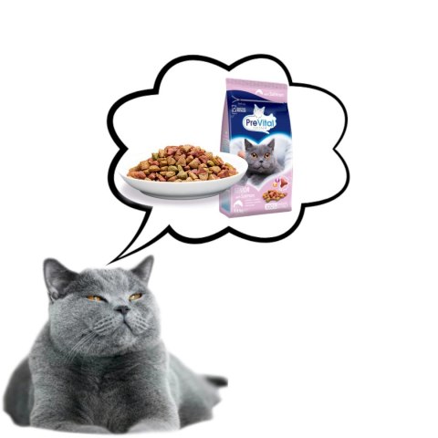 PREVITAL łosoś senior karma sucha dla kotów 1,4kg