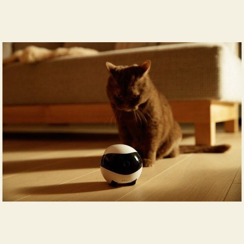 Inteligentny robot towarzyszący ENABOT EBO SE