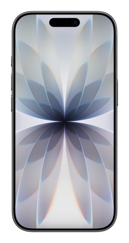 Apple iPhone 17 256GB Black