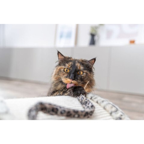 Drapak dla Kotów Trixie Leo Krem 25 cm