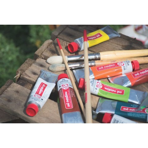 Zestaw farb olejnych Talens Art Creation