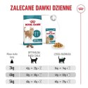 ROYAL CANIN FHN Cat Ageing 11+ 0,4kg