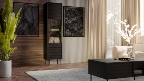 Witryna CORTINA 53x40x182 czarny