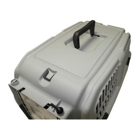 Transporter Aimé Skudo 55 x 36 x 35 cm