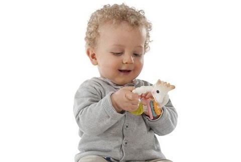 Gryzak na kółku so'pure 220120