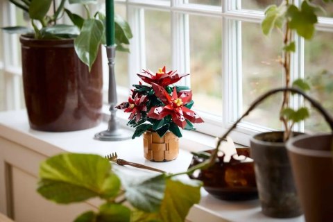 LEGO Botanical Collection 10370 - Gwiazda Betlejemska