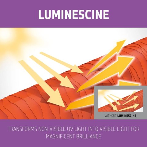 Szampon Goldwell Blondes Highlights