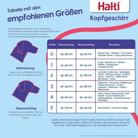 Kaganiec Company of Animals BURNT Pomarańczowy 3