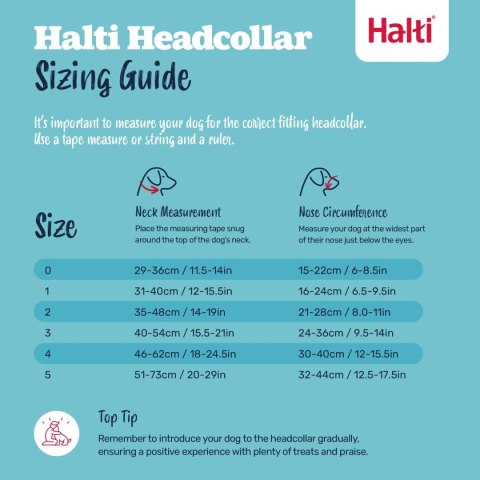 Kaganiec Company of Animals BURNT Pomarańczowy 4