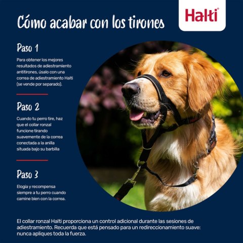 Kaganiec Company of Animals BURNT Pomarańczowy Rozmiar 1