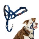 Kaganiec Company of Animals COBALT Niebieski 2