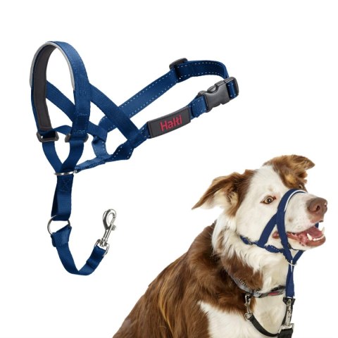 Kaganiec Company of Animals COBALT Niebieski 2