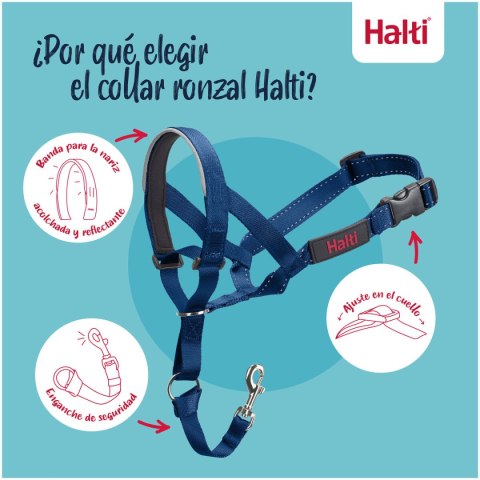 Kaganiec Company of Animals COBALT Niebieski 3