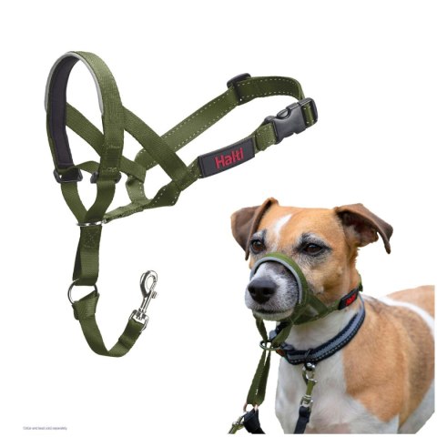 Kaganiec Company of Animals FOREST Kolor Zielony 2