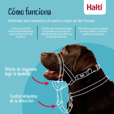 Kaganiec Company of Animals FOREST Kolor Zielony 3