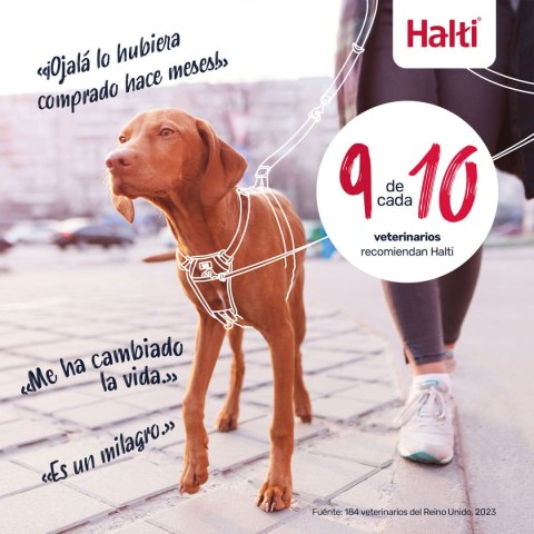 Szelki dla psa Company of Animals BURNT Pomarańczowy L