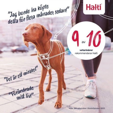 Szelki dla psa Company of Animals Blue 20