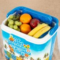 Przenośna Lodówka Aktive Plastikowy 37 x 35 x 27 cm (2 Sztuk)