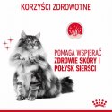Karma Royal Canin Intense Beauty w sosie 12x85G