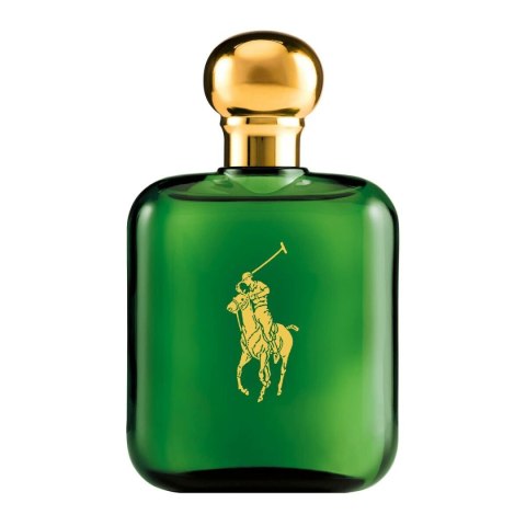 Perfumy Męskie Ralph Lauren Polo Green EDT