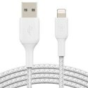 Kabel Lightning Belkin CAA002BT0MWH Biały 15 cm