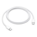 Kabel USB Apple MW493ZM/A 1 m Biały